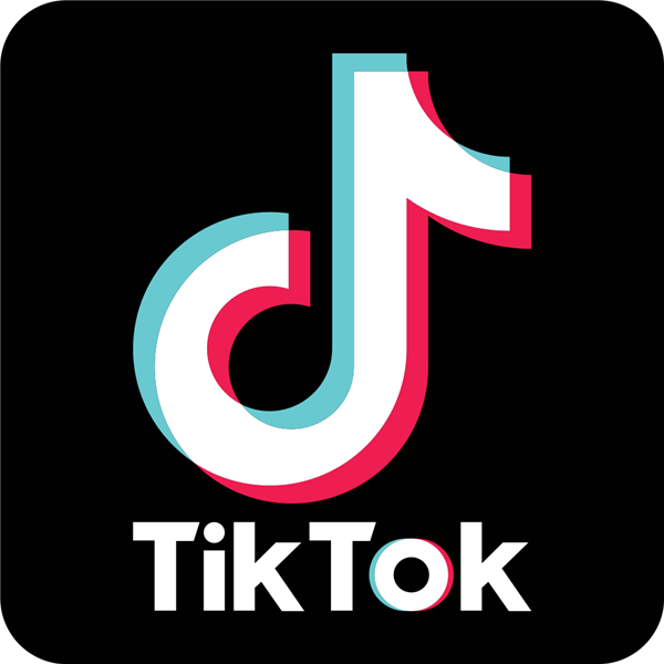 icon of link