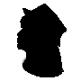 V******a